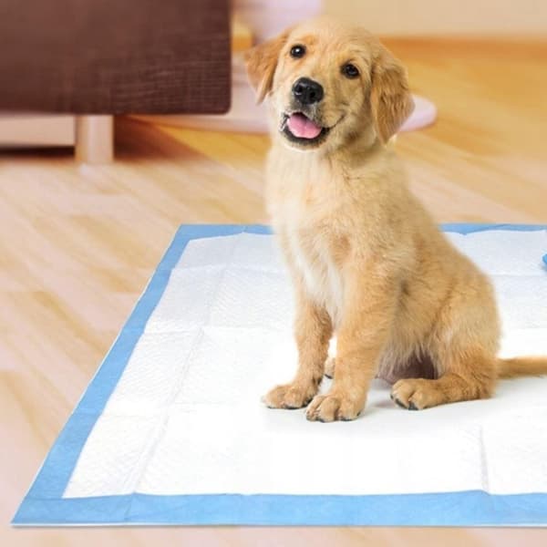 Kissmatta med Bajspåsar för Hund / Valpmatta / Hygienunderlägg