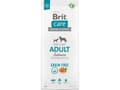 Miniatyrbild 1 av 3: Brit Care Dog Grain-free Adult, Salmon, 12 kg