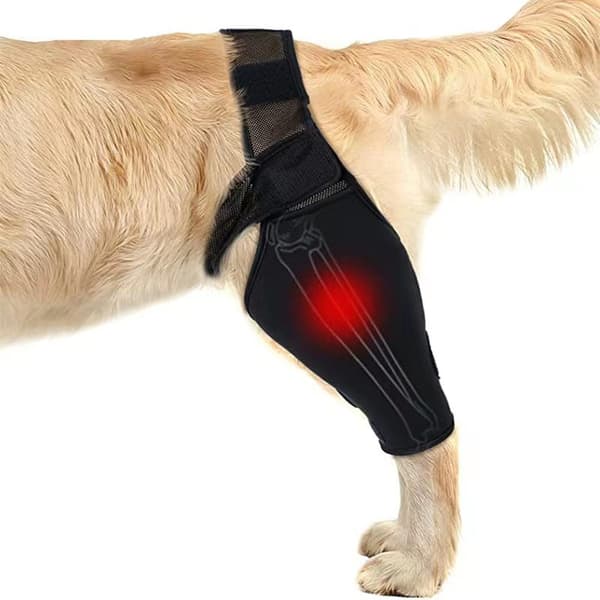 INF Benstöd för Hund – Andningsbart Knästöd för Frakturåterställning 0 XL
